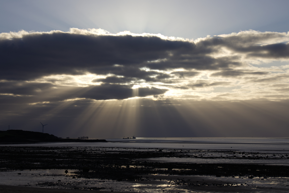 Sea Scape - Alan Bargh